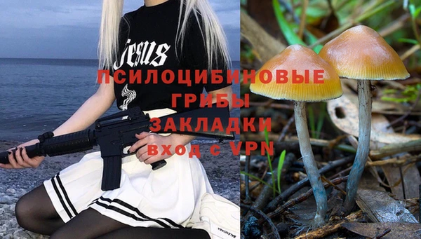 крисы Карпинск
