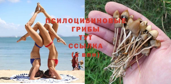 спайс Карталы