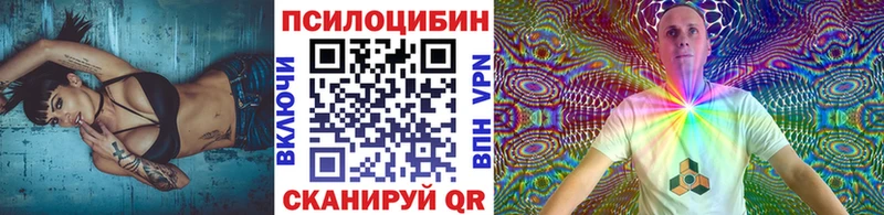 Купить  Балтийск  Псилоцибиновые грибы Psilocybine cubensis 